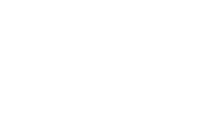 EXE Flexa